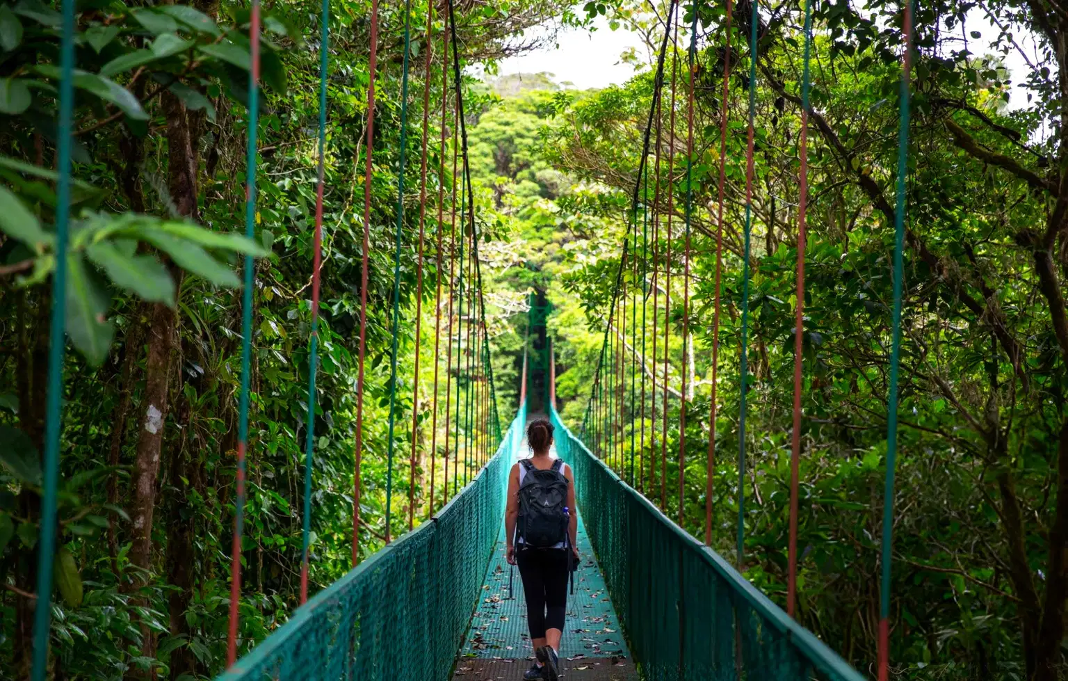 Escape to Costa Rica | A Journey Through Volcano & Cloud Forest