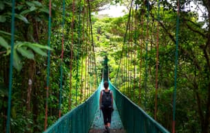 Walk across the hanging bridges of Monteverde Cloud Forest