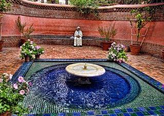 Leisurely Stroll At Jardin Majorelle