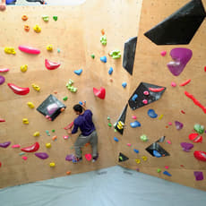 A1dhorhc25gsozhsomrn2ta9h380 1589188301 5c4eceeed4ec0c02c41609f8 1548668654525