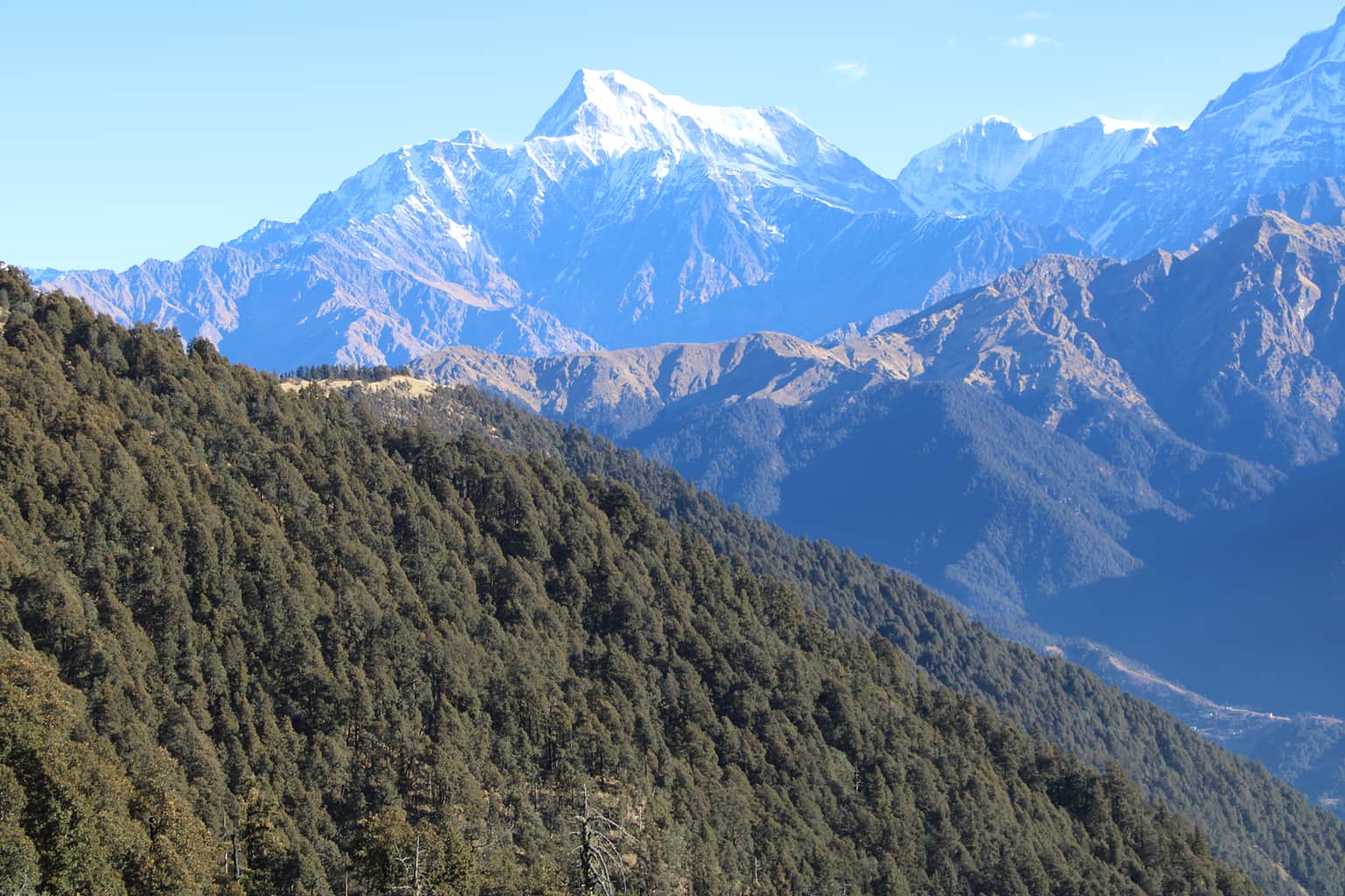 Photo from Bharat  Verma's trip