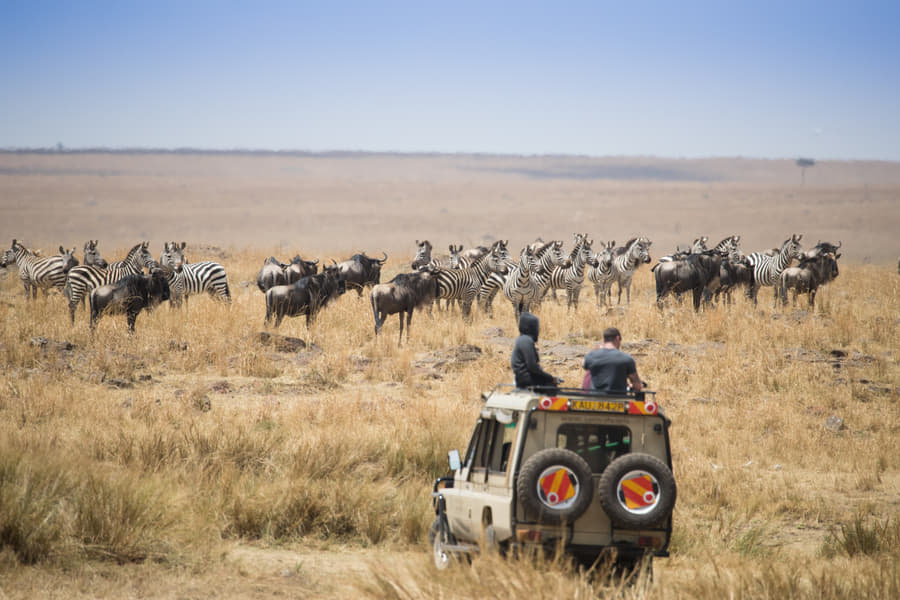 Half-Day Game Drive at Masai Mara National Park Image