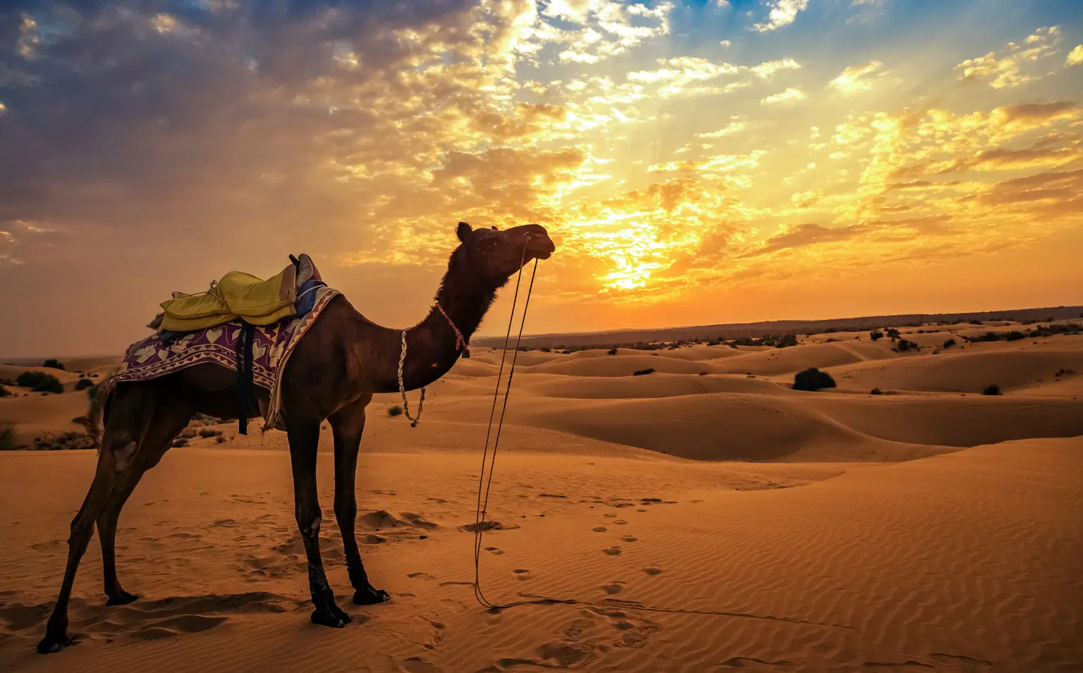 rajasthan holiday packages 