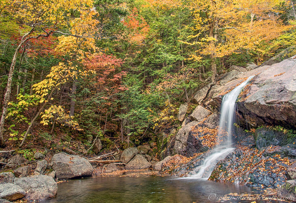 Thompson Falls