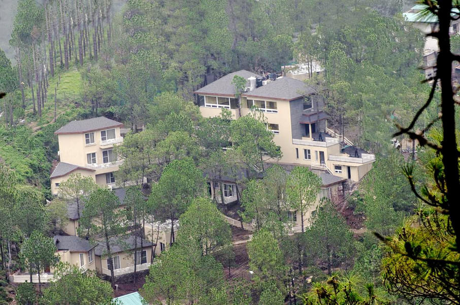 Jungle Lodge Resort Image
