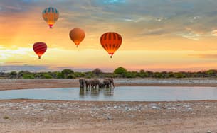 A2cc4gwrs98ia3fs9zceemtd36p8 etosha gallery 6