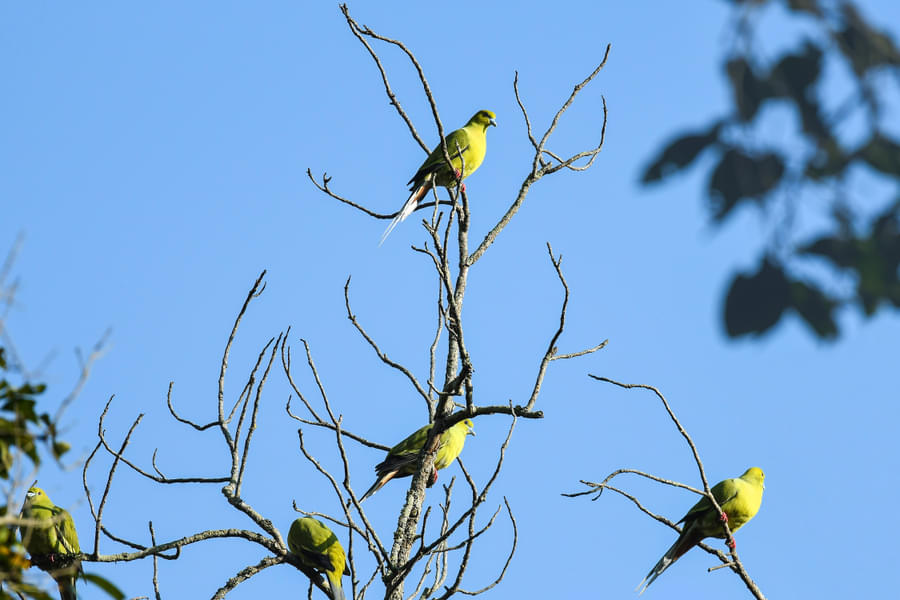 Jim Corbett Weekend Tour from Delhi Image