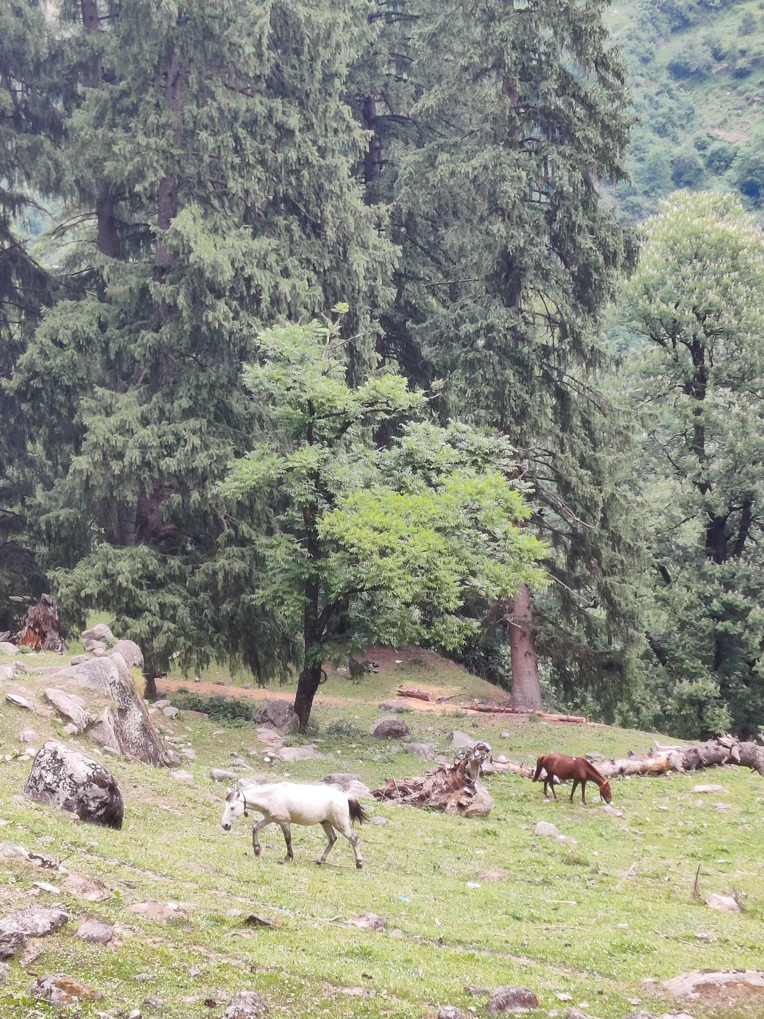 Photo from Akshay Gupta's trip