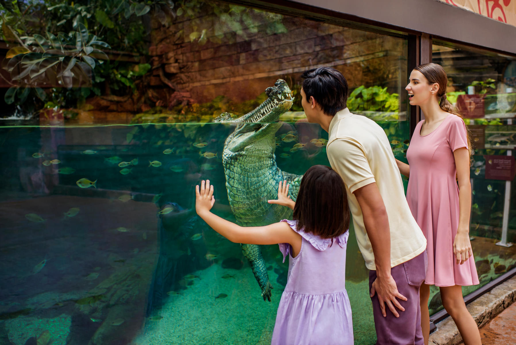 Have a fun time with your family as you explore the amazing wildlife park
