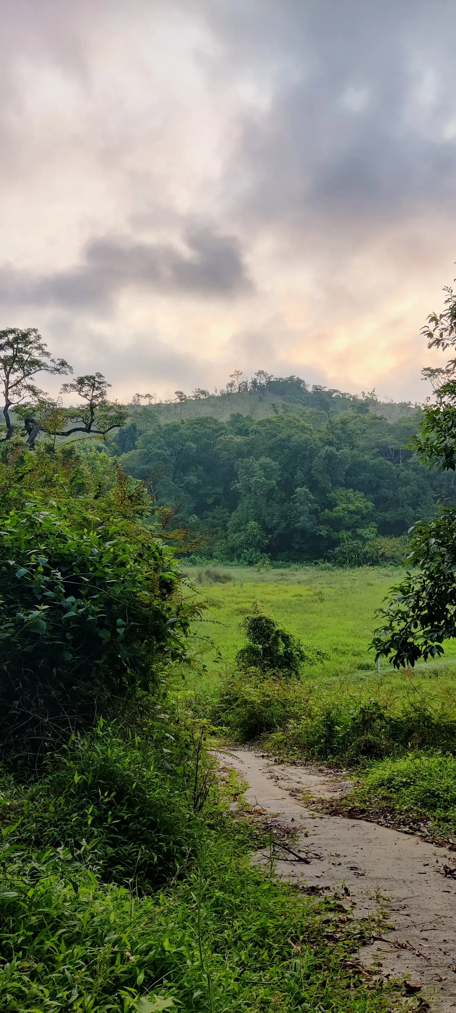 Photo from Varsha BH's trip