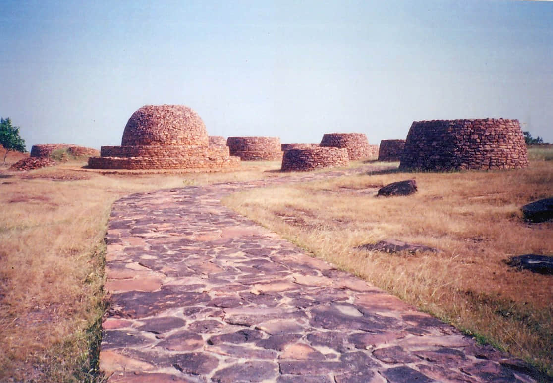 Deur Kothar, <em>Rewa</em>