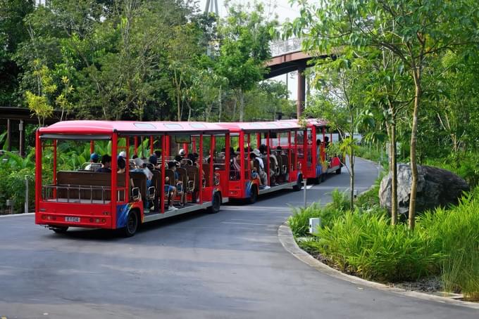 Bird Paradise Mandai Shuttle Services