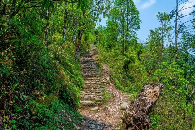 Sky trail Jungle Trekking