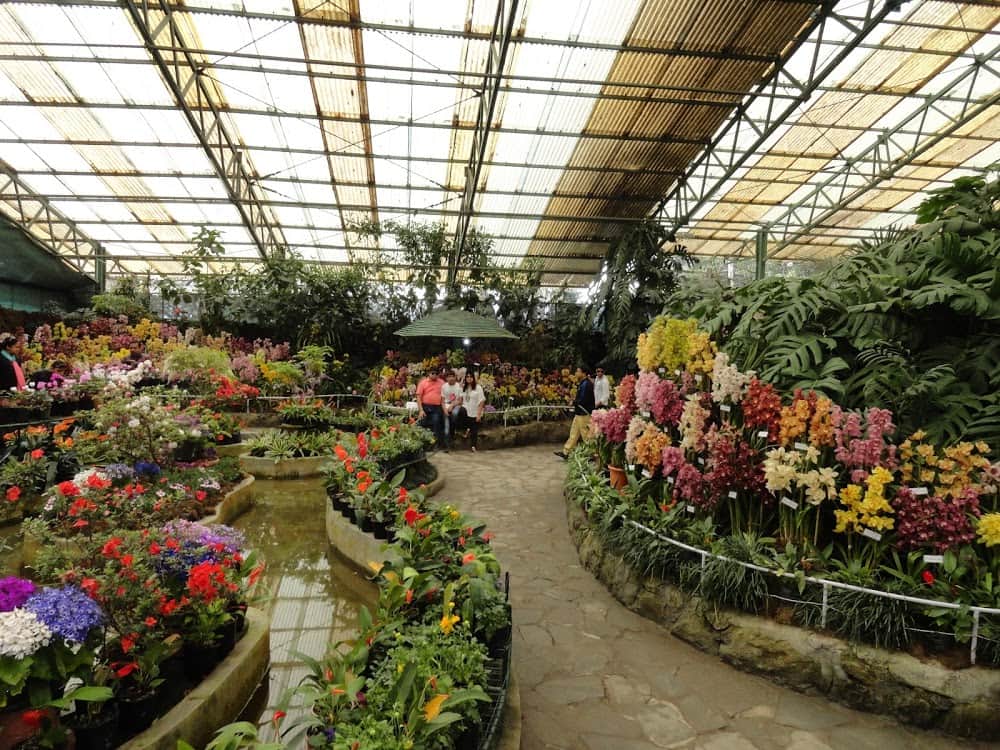 Flower Exhibition Centre gangtok