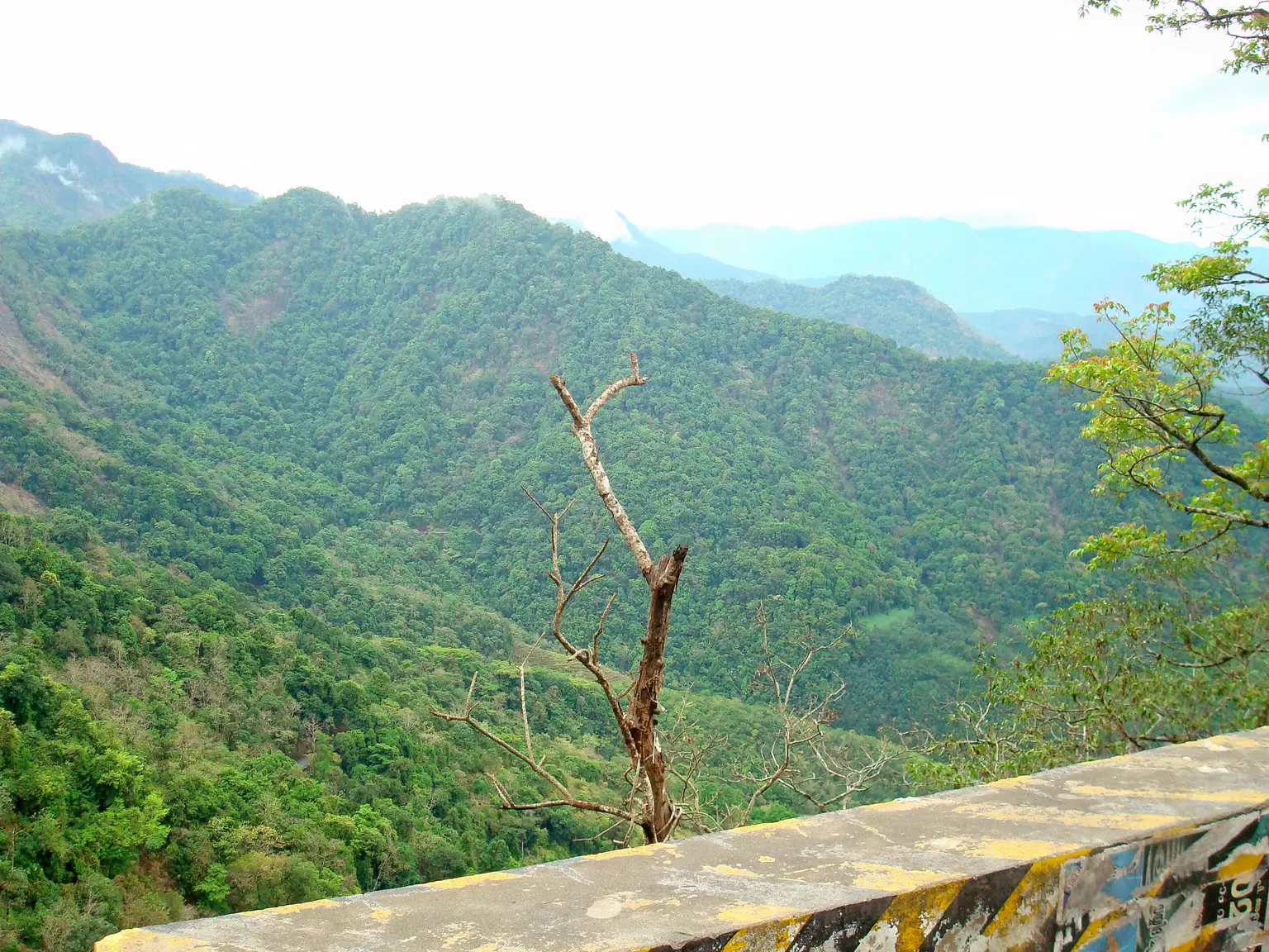Photo from Chandani Guha's trip