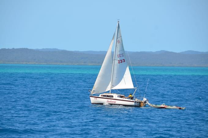 Hervey Bay Whale Watching