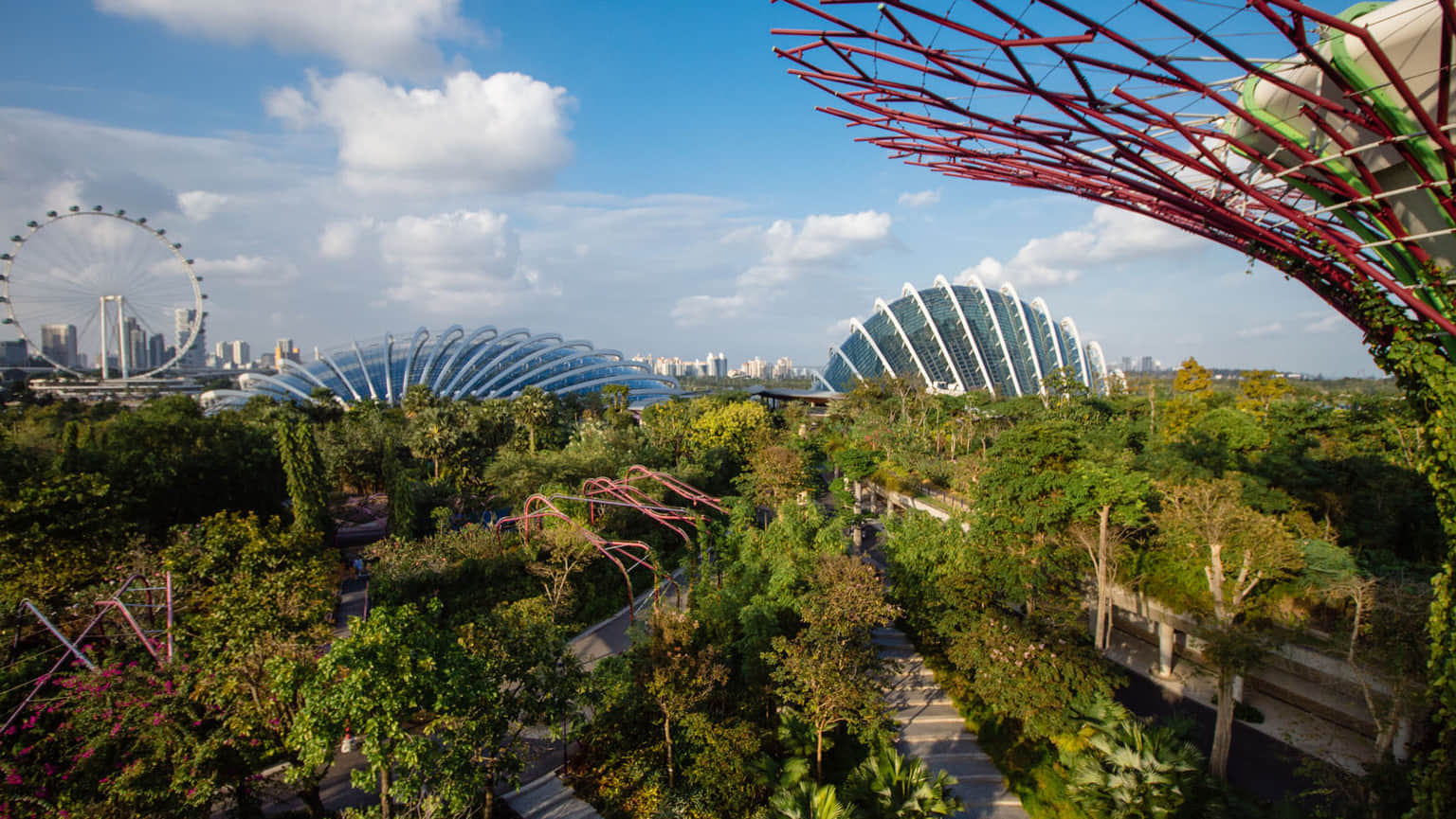 SuperTree Grove, <em>Singapore</em>