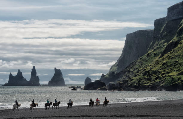 Black Sand Beach Horse Riding Tour from Vik