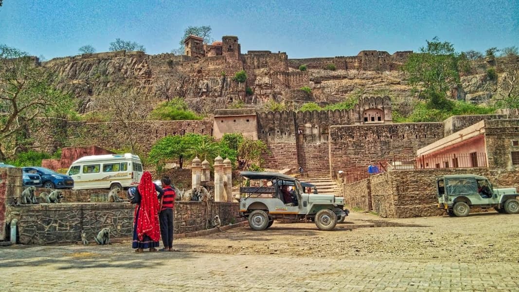 4 Days 3 Nights Jaipur Ranthambore Tour Image