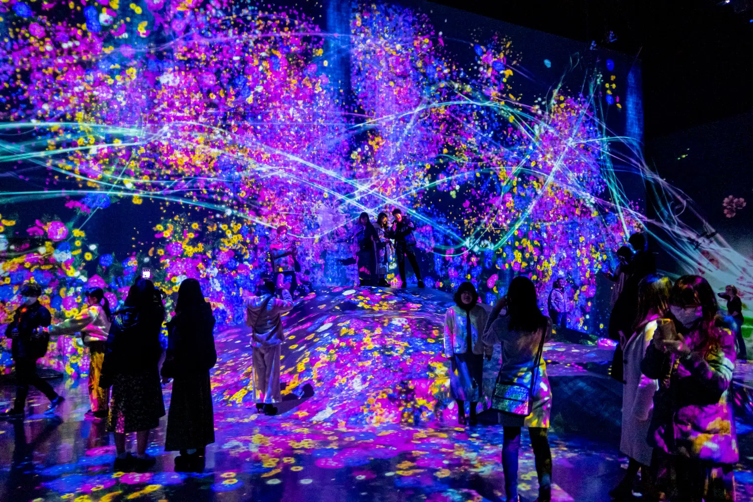 teamLab Planets, Tokyo