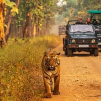 weekend-tour-to-jim-corbett-national-park