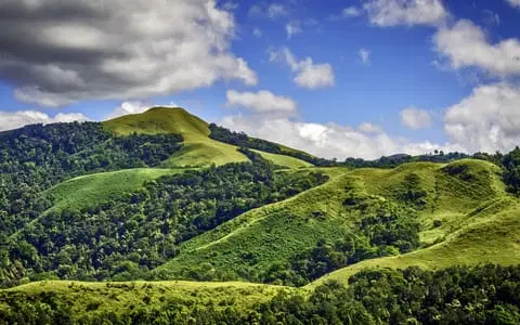 Best Homestays in Kudremukh