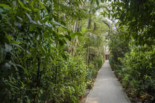 A7l1l0zqil5zmdgtyk4e4dzxjjrw walkways%20inside%20the%20resort