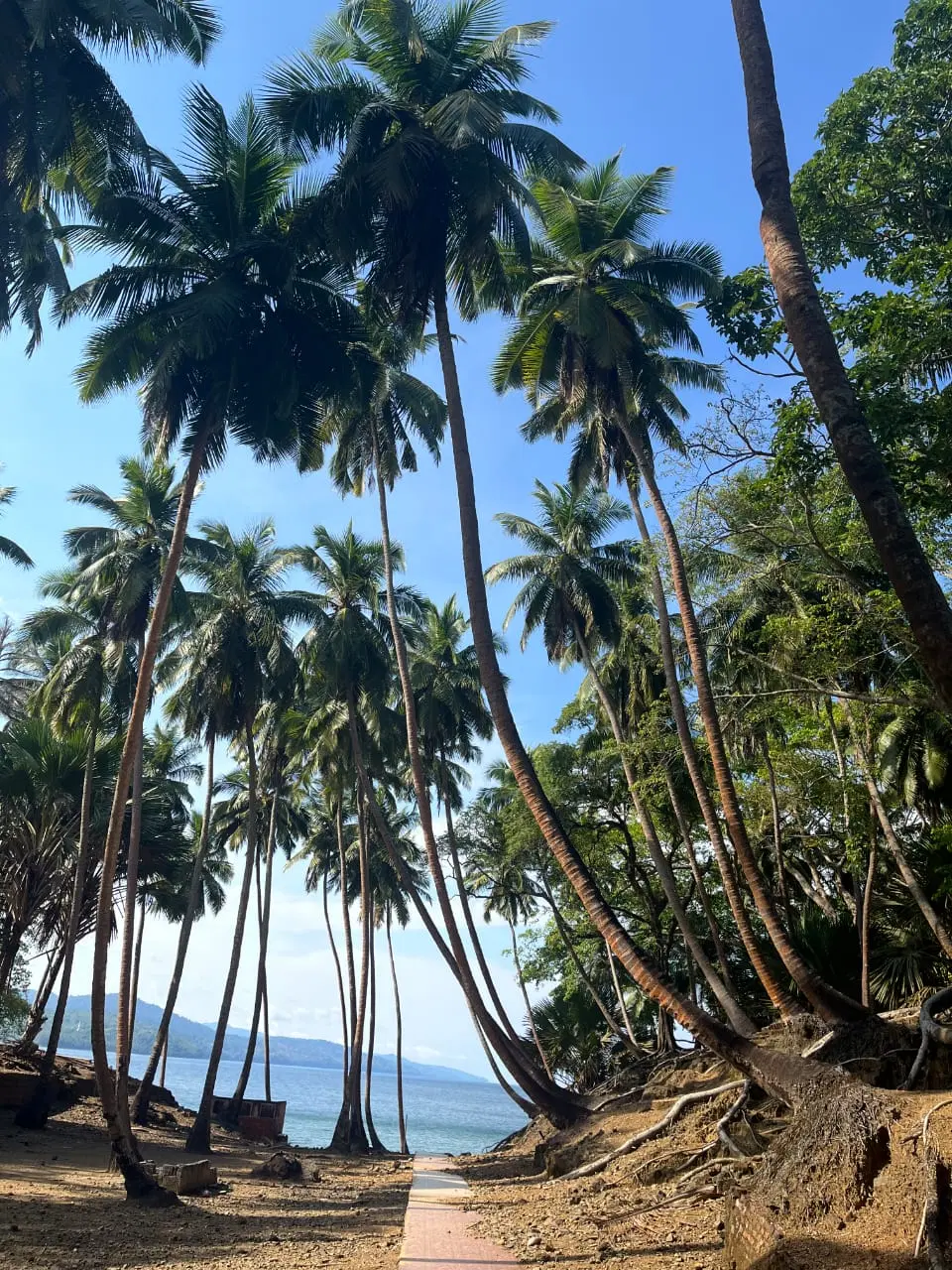 Photo from Akhil . 's trip