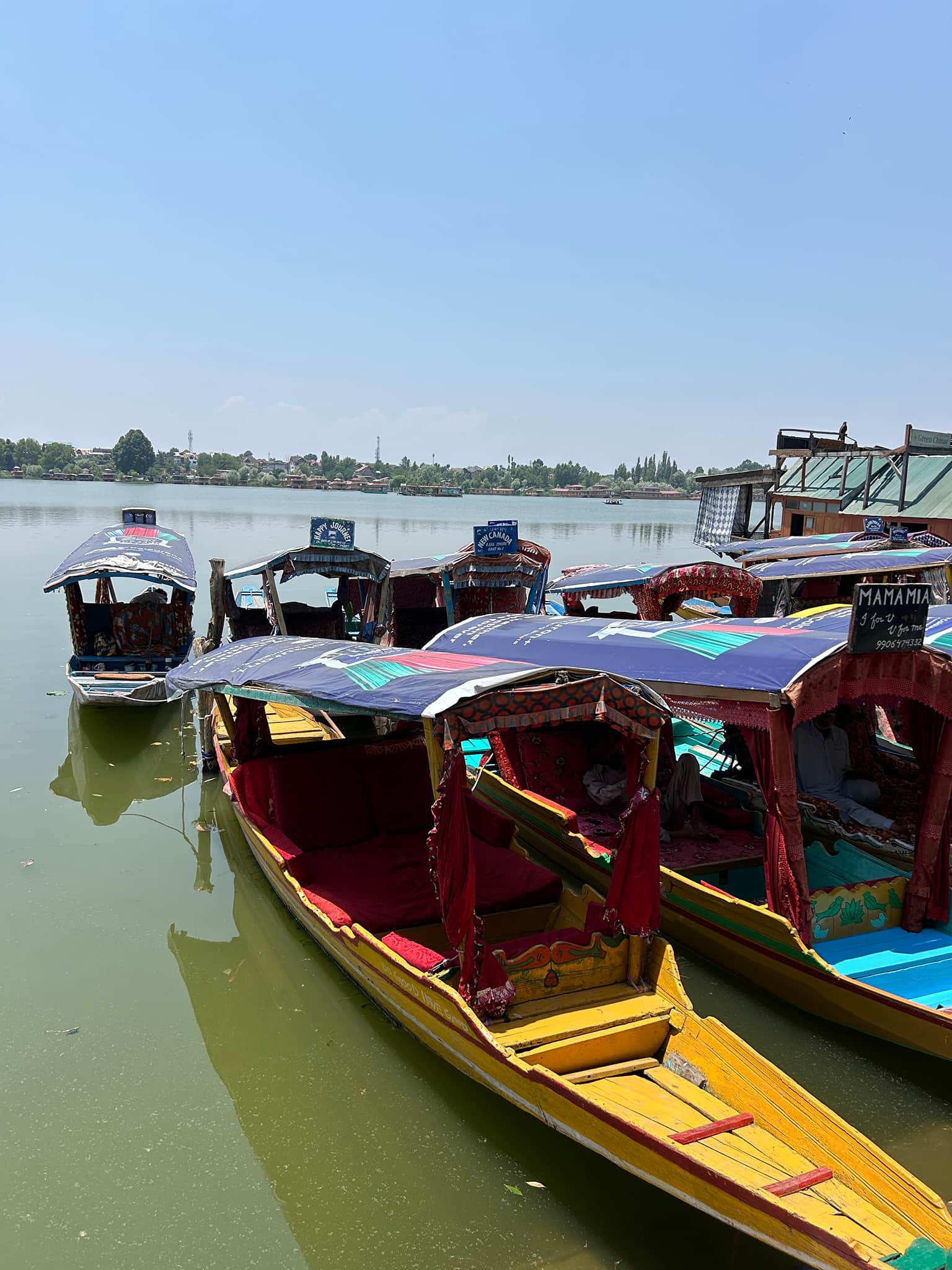 Photo from sanjyot usgaonker's trip