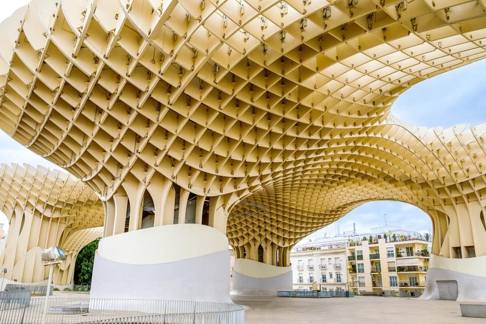 The Mushrooms of Seville Overview