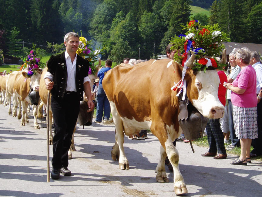 Alpabfahrt Festival