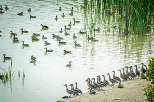 A7u8l8k7luvvxnzl18a6hhhem74v 1590663721 shutterstock 1645410757