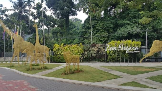 zoo negara t.jpg