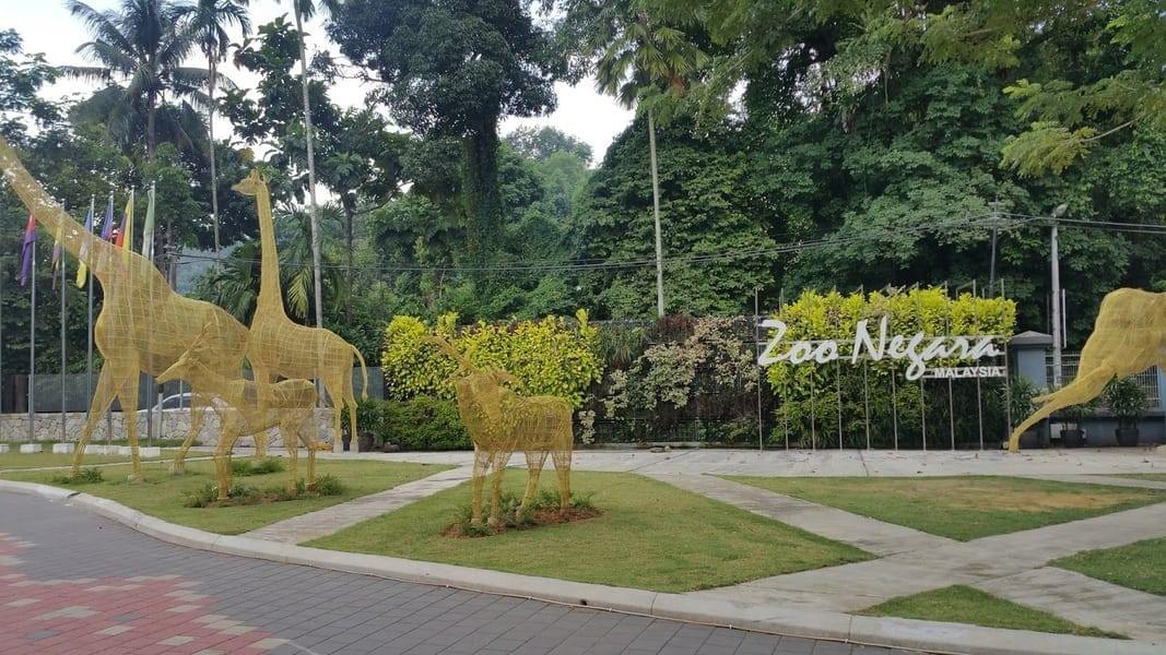 Spot your favourite animals at Zoo Negara
