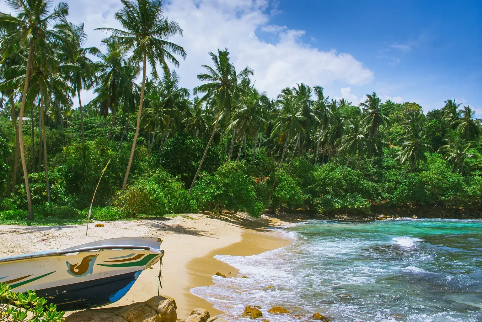 Mirissa and Galle Sightseeing Tour