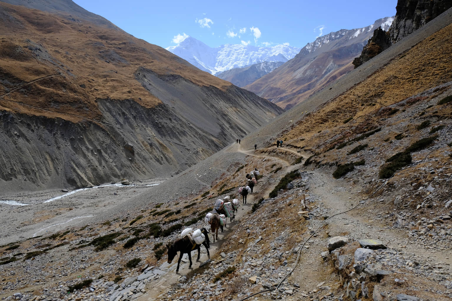 Umling La Pass, <em>Ladakh</em>