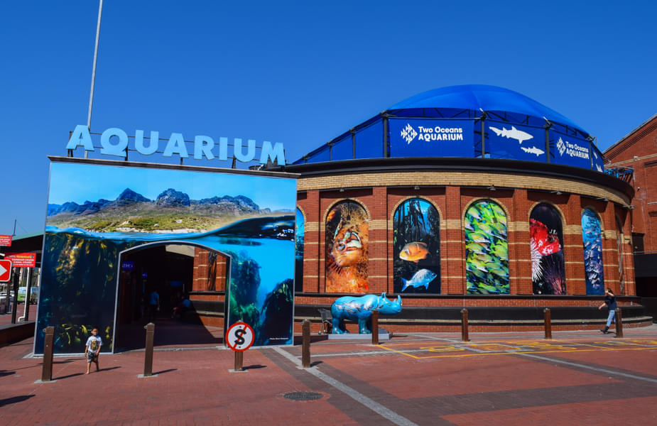 Two Oceans Aquarium Tickets Image