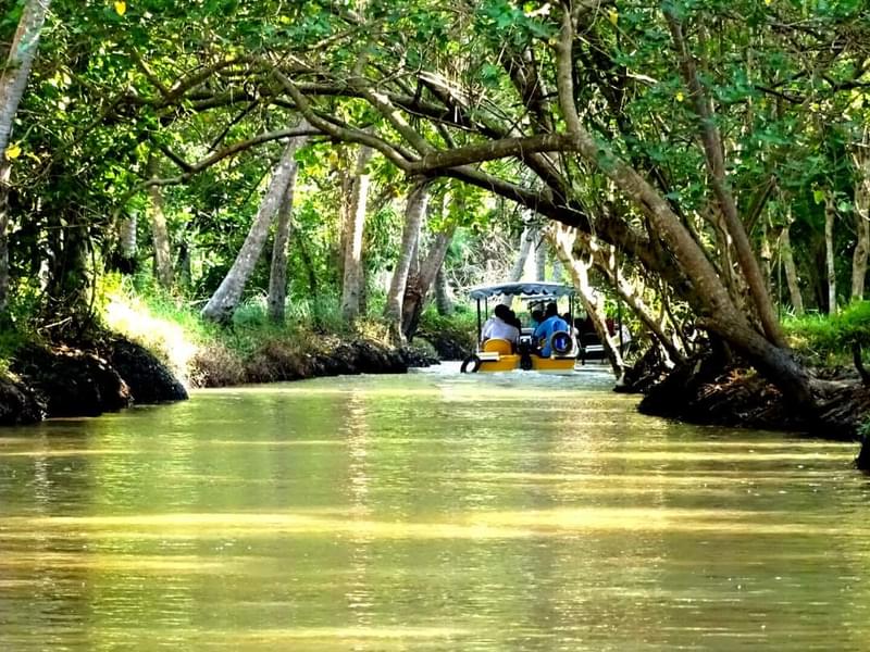 Bird Watching While Boating in Poovar Island Image