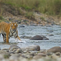 discover-jim-corbett-tour-package