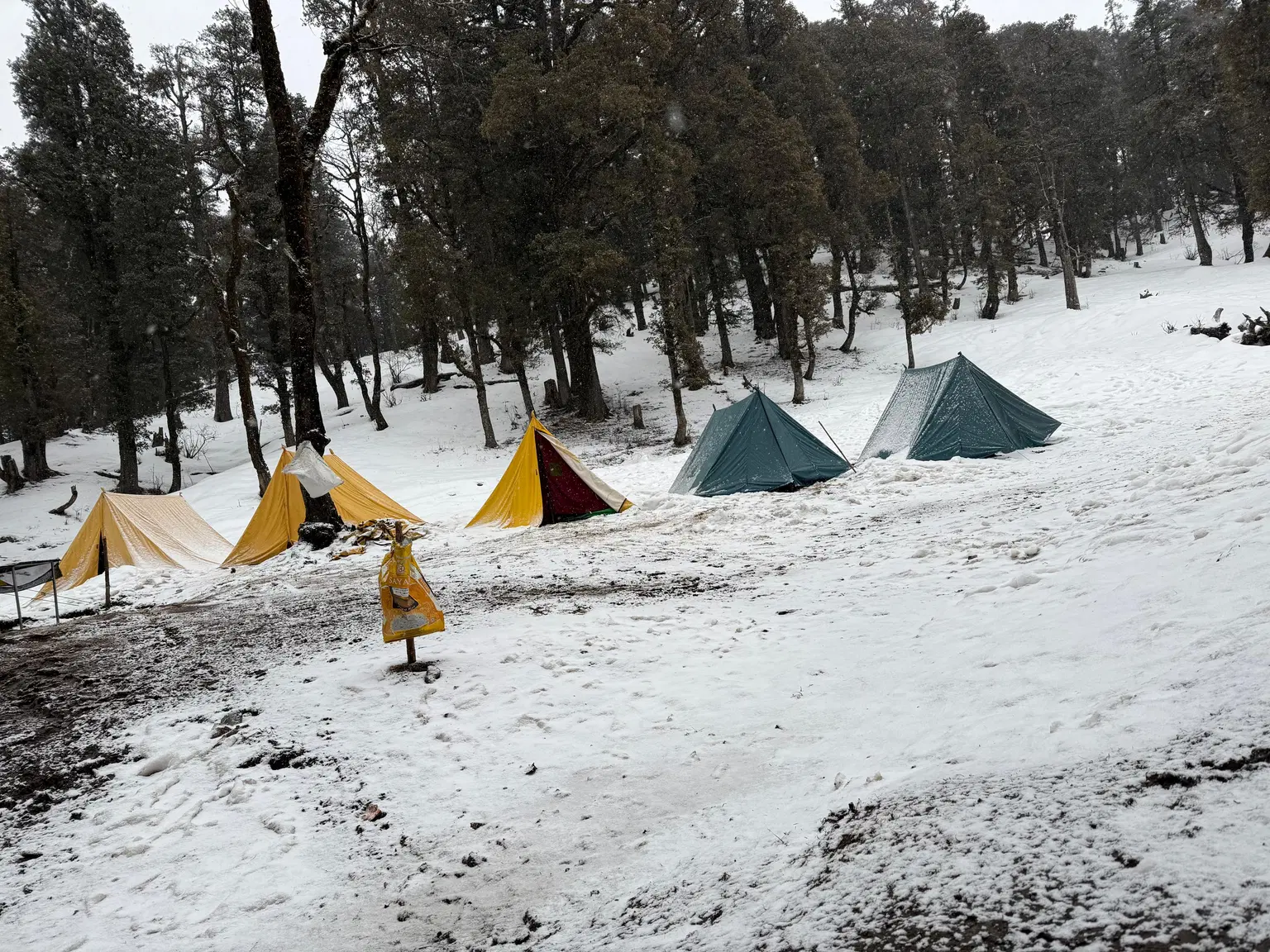 Photo from Parag Bhattacharjee's trip