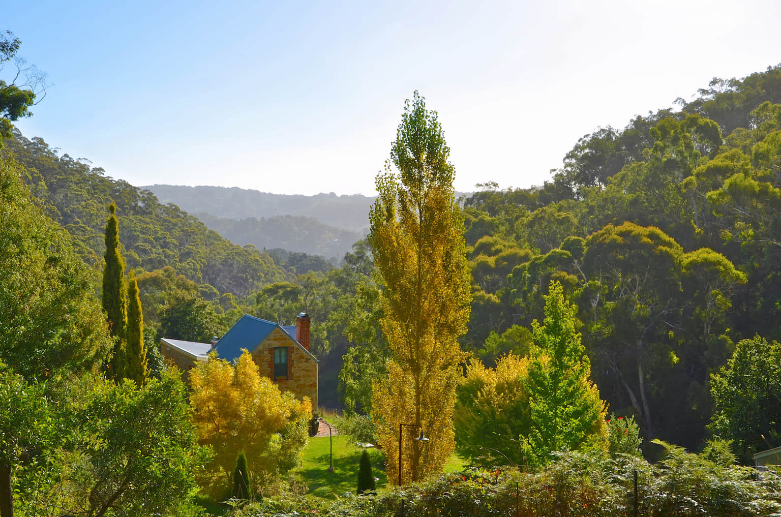 Adelaide Hills, <em>Adelaide</em>