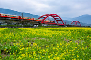 A9hslw8lgqvgq38tt9i0d5hebi2u shutterstock 1445881424