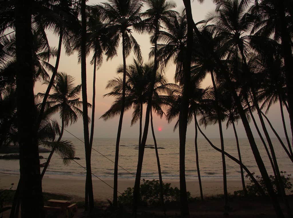 Ezhara Beach, <em>Kannur</em>
