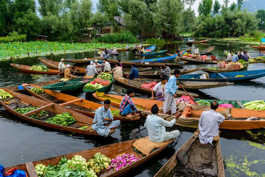 Shikara Ride in Dal Lake Image