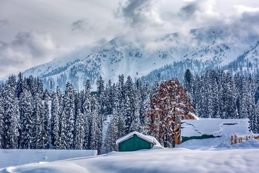 Experience the Luxury of Kashmir | FREE Excursion to Aru Valley Image