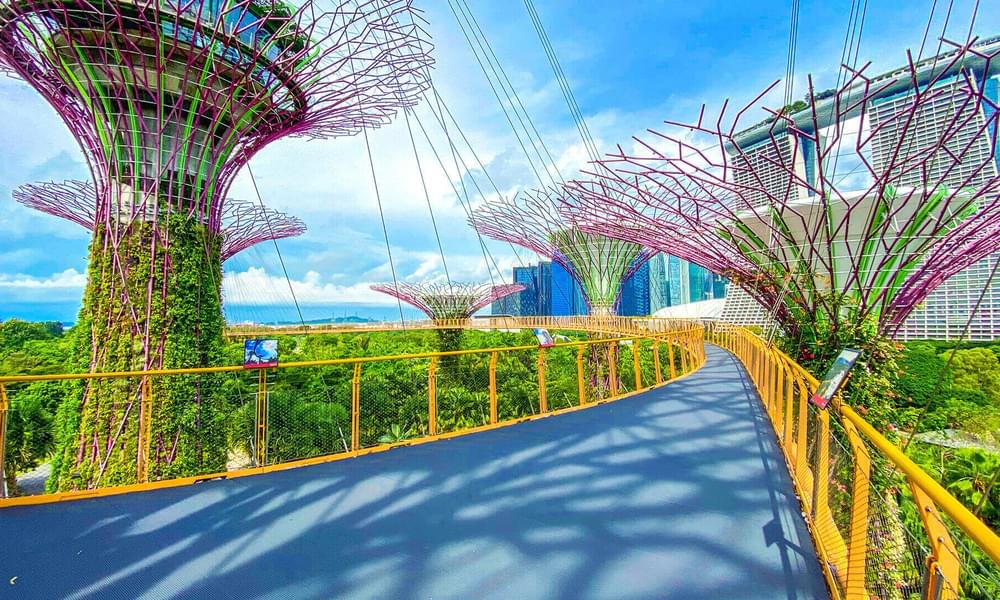 gardens by the bay timings