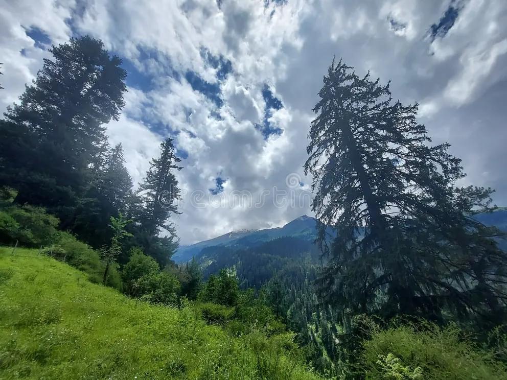 Indulge in Birdwatching & Wildflower Spotting