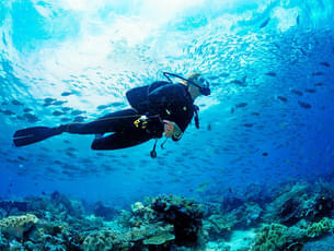 Enjoy scuba diving in Chennai