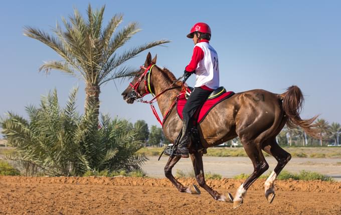 Horseriding