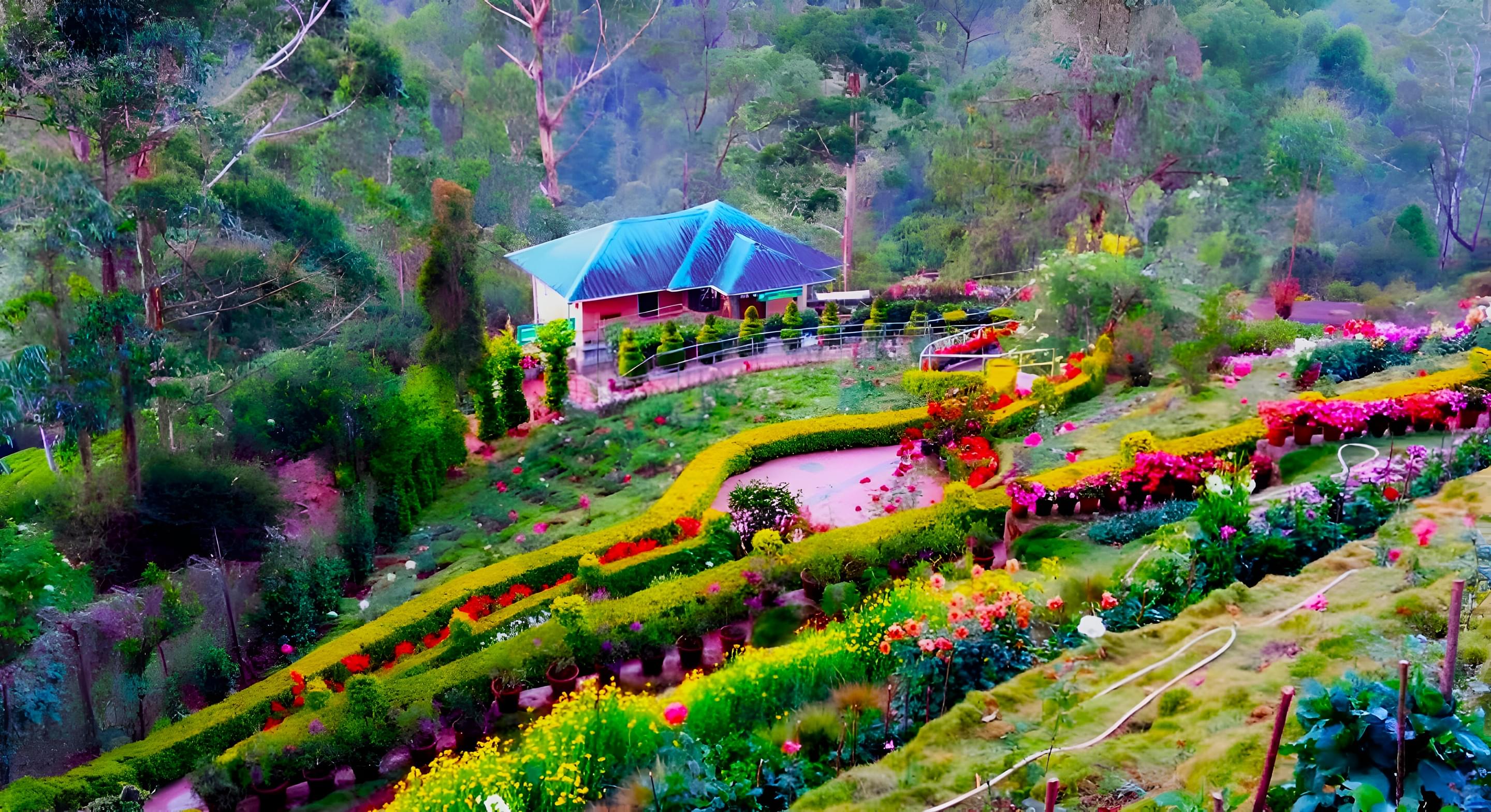 Rose Garden Overview